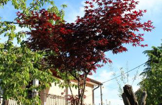 Apartments Dalia - Foto 52