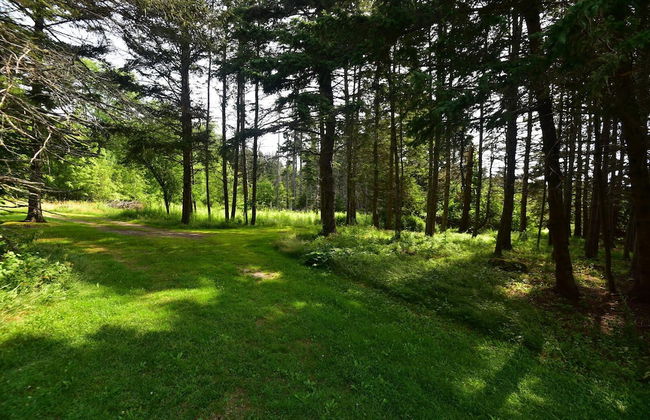 Cottage on Northwest Harbor - Foto 7