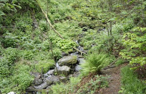 Elpe Apartments Hochsauerland - Foto 56