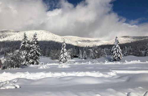 Il Bosco Guest House Subiaco - Foto 74