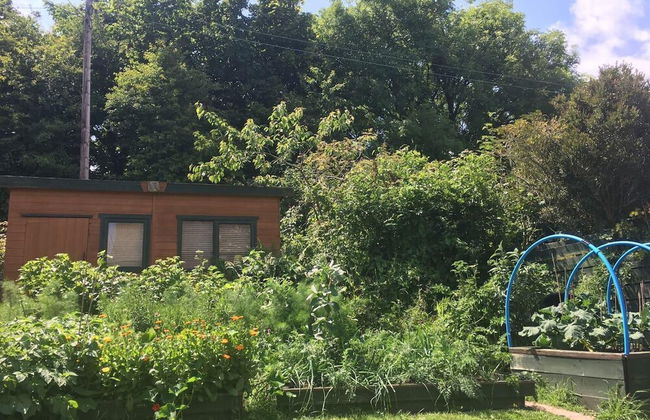 Sancreed Beacon Heart of West Cornwall - Sea Views - Foto 13