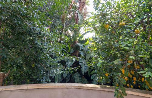 La Corte dei Nespoli - Foto 26