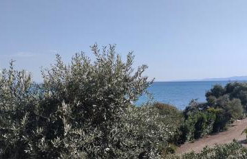 Δίπλα στο κύμα -Βeside the wave - Photo 15