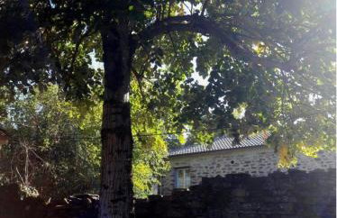 Αρχοντικό στο Διπόταμο - Foto 28