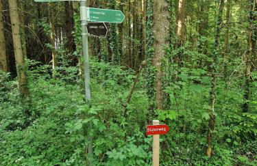 Ferienwohnung Alpenglück - Foto 6