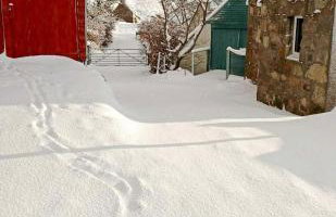 8B Calbost - Foto 31