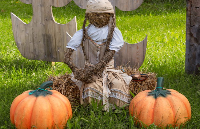 Schwarzenegg - Foto 13