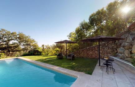 Abejas 1 de El Vergel de Chilla - Foto 24