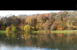 KILEX House contractor-friendly base in Bedlinog village - Foto 48