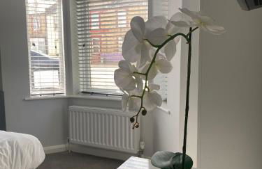 Eclipse Apartment No 3 - Foto 16