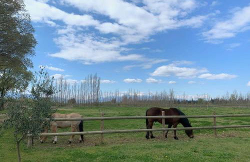 Gîtes du Castell de Blés - Photo 23