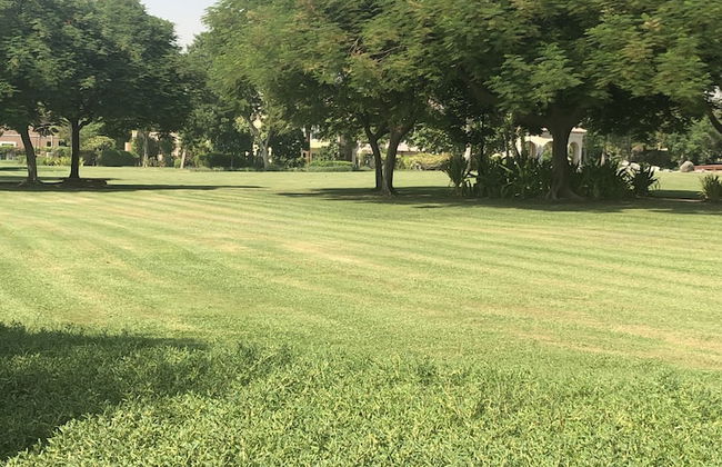 Impeccable 5 Beds Villa in Dubai - Foto 39