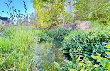 Inmitten des Dorflebens - Rheinfelden-Nollingen - Foto 11