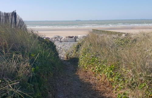 Le bélouga - Foto 15