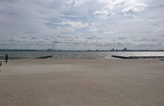 Obstkorb Stralsund - Foto 23