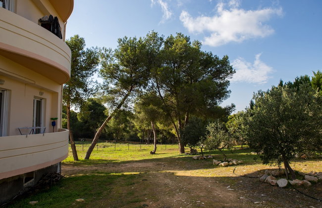 Nikis Dream Comfy Apartments - Foto 82