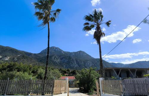 Palm tree house by the beach - Foto 36