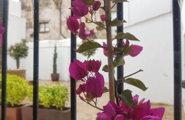 Casa Palacio Muñoz Chaves - Foto 13