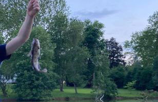 Bucks County Home Farm Philadelphia Dog Friendly - Foto 67