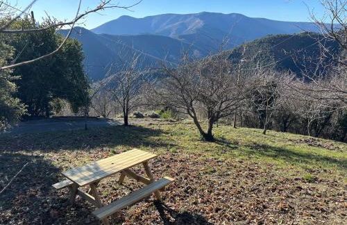 Le Châtaignier - Foto 14