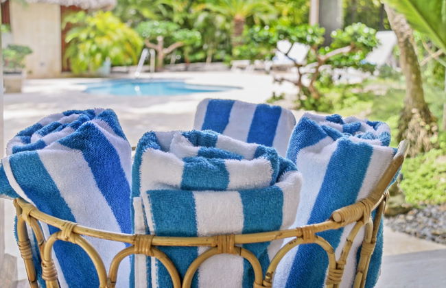 Beautiful Villa Tortuga at Puntacana Resort Club Pool Garden Golf Cart Maid - Photo 43