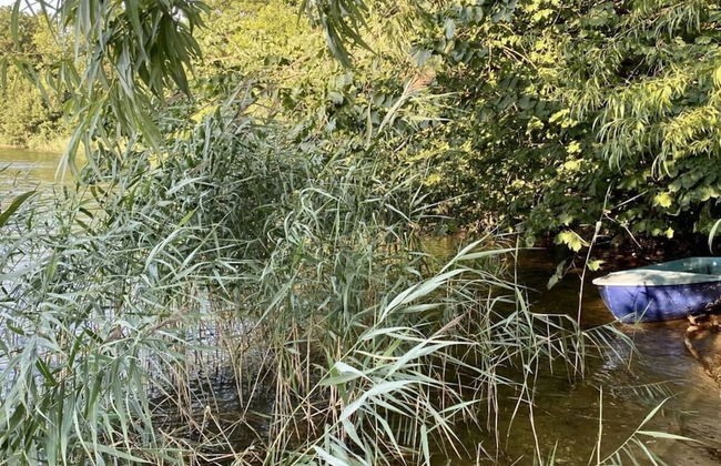 Cuddly Shell Modern Retreat - Foto 41