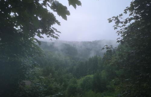 Dorfschule Mollseifen - Photo 25