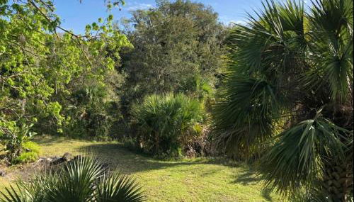 Palm View: Secluded Oasis in Melbourne Village - Foto 4