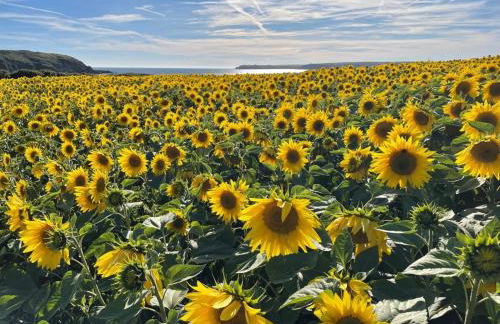 Family-friendly cottage - walk to stunning beach - Foto 23