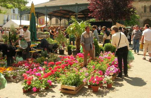 Oustal de Papé le calme au cœur de Mirepoix - Foto 23