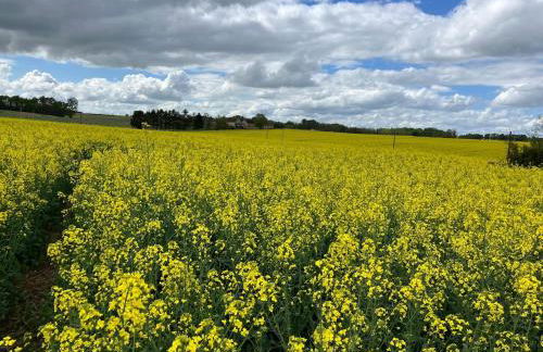 La Tuilerie - Foto 12