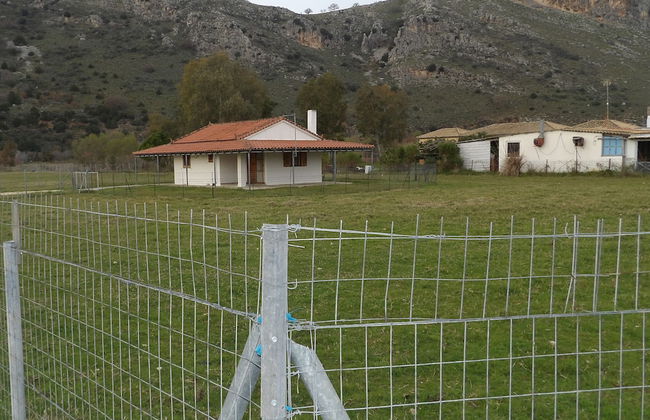 Kalogria Beach Apartments - Foto 14