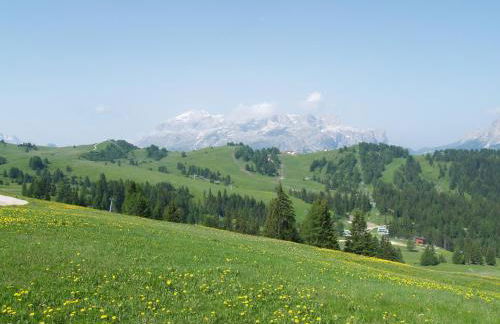 Residence Vajolet San Cassiano - Photo 41