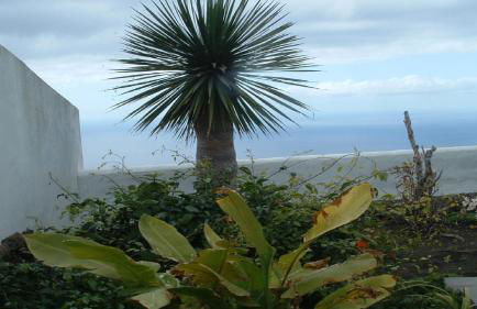 Casa Los Viñedos B - Foto 32