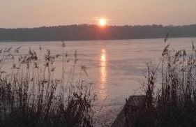 Ferienhaus Pauline am See - Foto 10