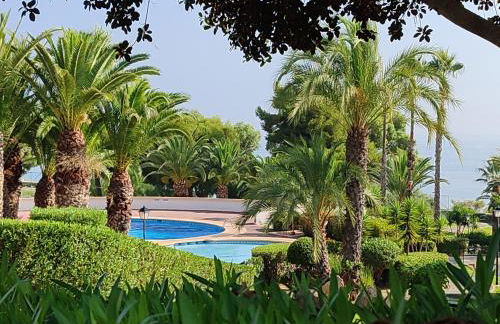 Gran Vista - Photo 17