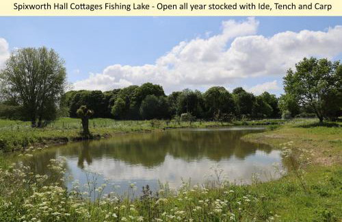 Spixworth Hall Cottages - Foto 80