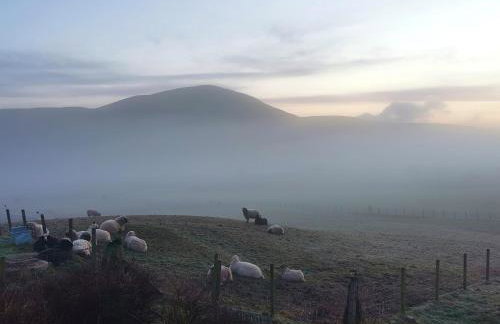 Glen Bay - 2 Bed Lodge on Friendly Farm Stay with Private Hot Tub - Foto 63