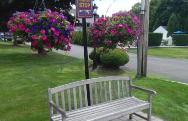 Elmwood Resort Hotel - Foto 19