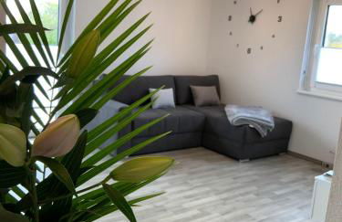 5 Sterne Wohnung Hunsrück Harmonie - Foto 1