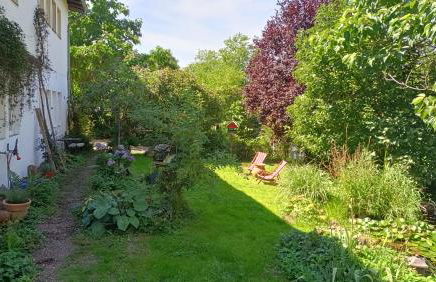 Casa Verde Sinnerthal - Foto 27