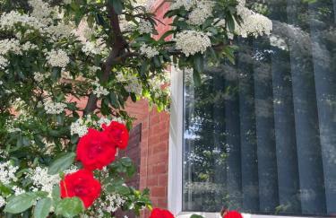 Studio-like room with own entrance - Foto 8