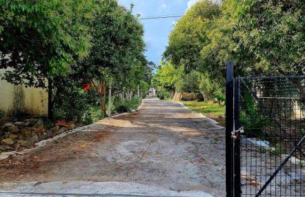 Village Holidays - Chelonaria - Foto 16