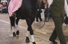 Villa Margherita - Foto 69