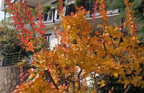 Highlight Apartments - Foto 67