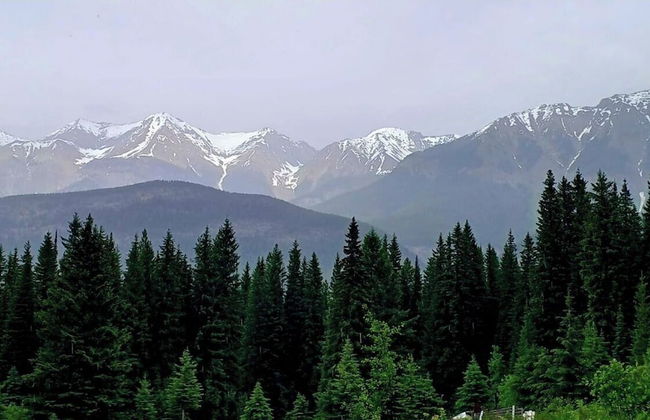 Rustic Beaverfoot Lodge Dream Cabin - Photo 20