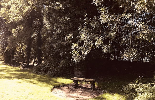 3 Bedroom Country Retreat - Dogs Welcome - Foto 18