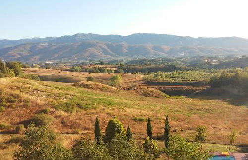 Apartment Sonnenblume Wohnung by Interhome - Foto 32