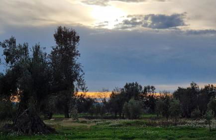 Les Valletes - Foto 15