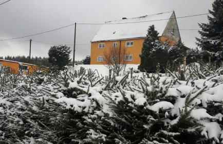 Fewo mit Fichtelberg und Keilbergblick - Foto 22